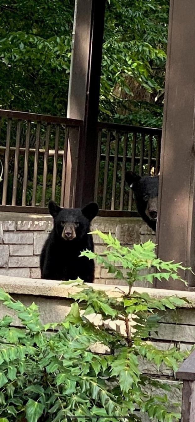Brookside Lodge Gatlinburg Εξωτερικό φωτογραφία