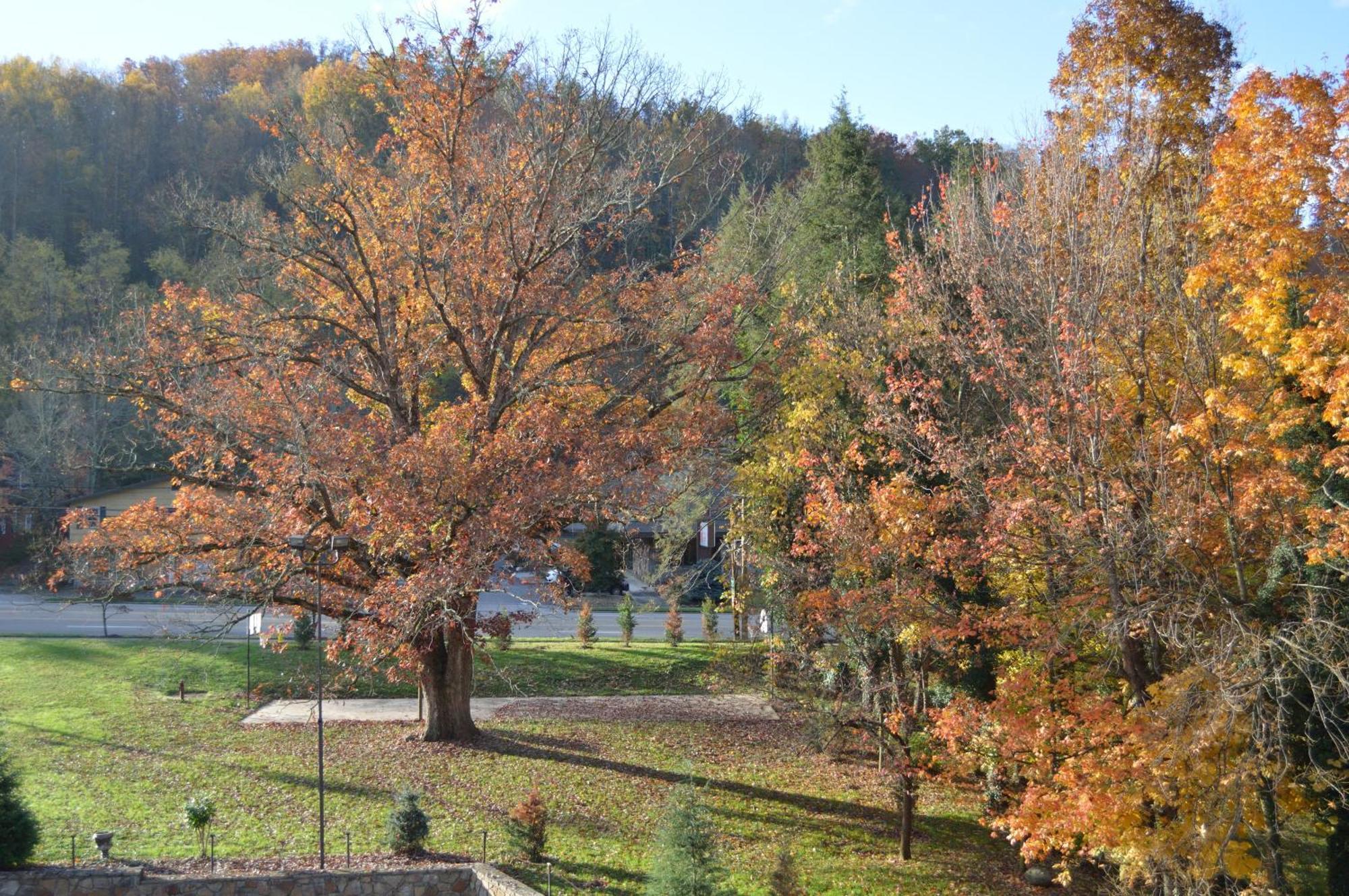 Brookside Lodge Gatlinburg Εξωτερικό φωτογραφία